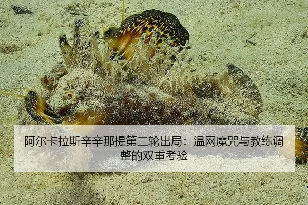阿尔卡拉斯辛辛那提第二轮出局：温网魔咒与教练调整的双重考验